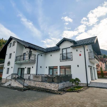 Pensiunea Paradisul Verde Моисей Екстериор снимка