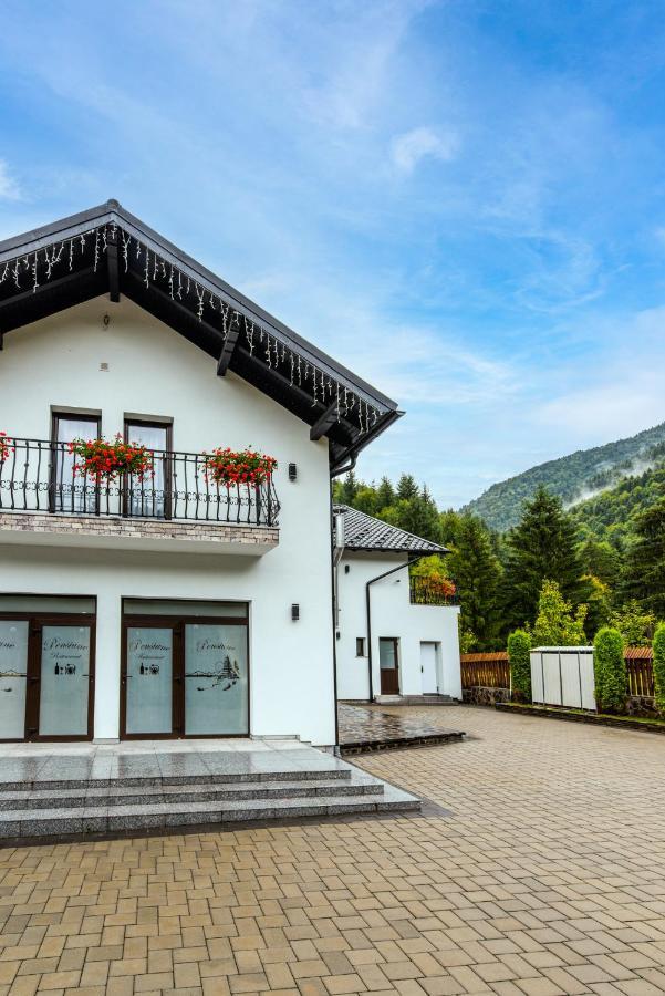 Pensiunea Paradisul Verde Моисей Екстериор снимка