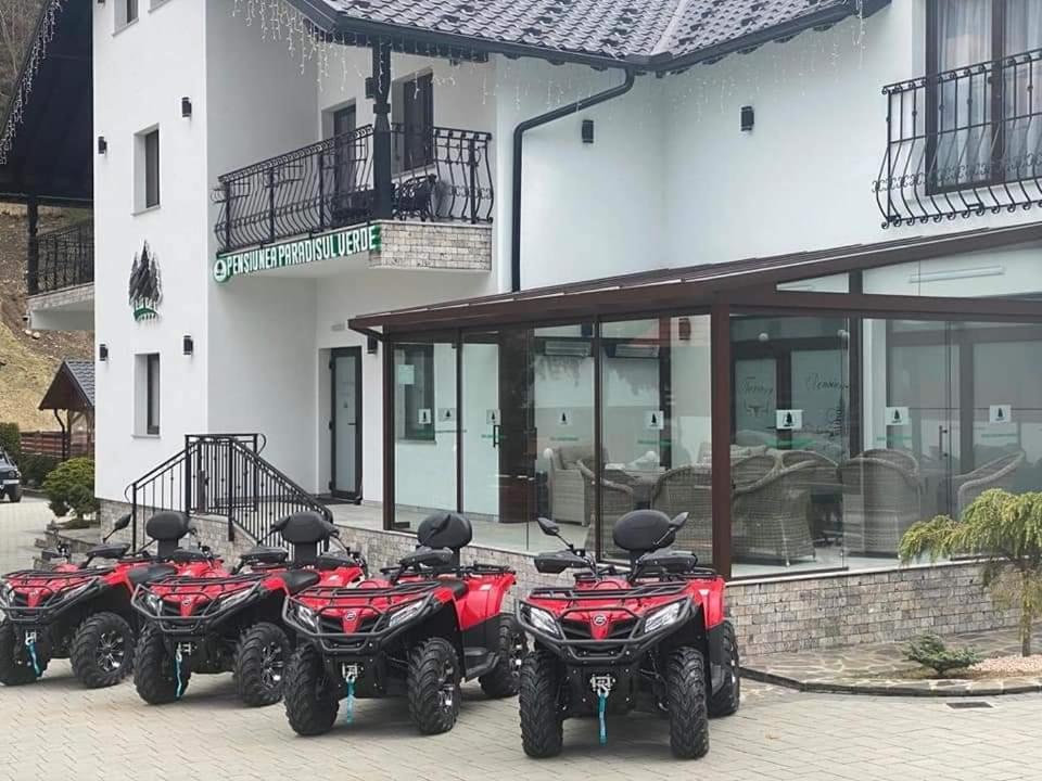 Pensiunea Paradisul Verde Моисей Екстериор снимка